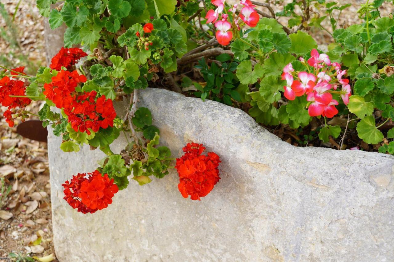 Casina Mozart Lecce Bed & Breakfast Magliano Eksteriør bilde